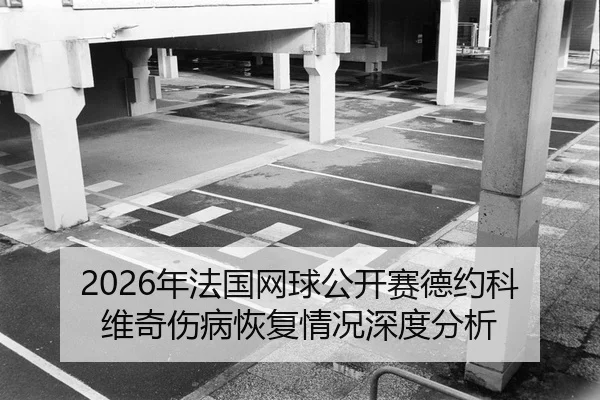nian-fa-guo-wang-qiu-gong-kai-sai-de-yue-ke-wei-qi-shang-bing-hui-fu-qing-kuang-shen-du-fen-xi-2-115.jpg