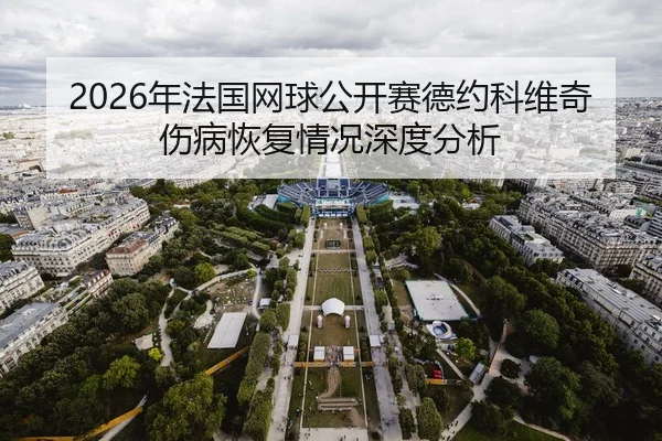 2026年法国网球公开赛德约科维奇伤病恢复情况深度分析