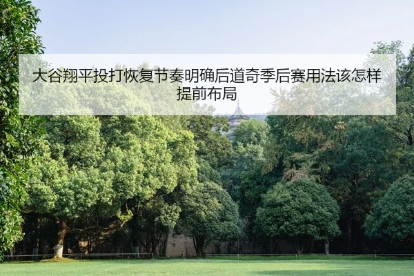 da-gu-xiang-ping-tou-da-hui-fu-jie-zou-ming-que-hou-dao-qi-ji-hou-sai-yong-fa-gai-zen-yang-ti-qian-bu-ju-2-657.jpg