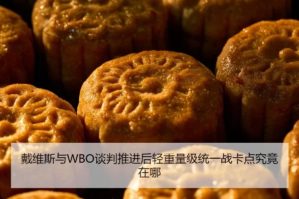 戴维斯与WBO谈判推进后轻重量级统一战卡点究竟在哪