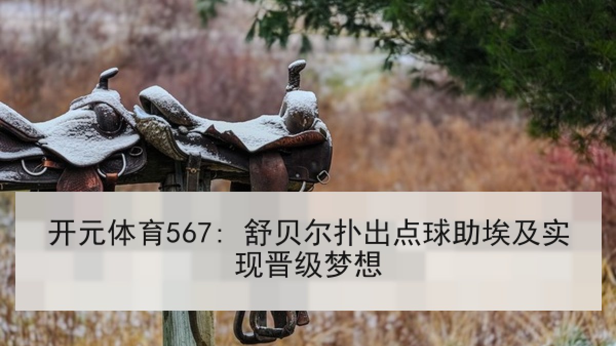 开元体育567: 舒贝尔扑出点球助埃及实现晋级梦想