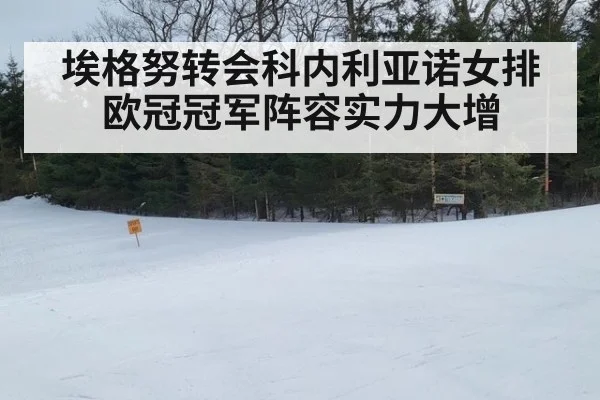 埃格努转会科内利亚诺女排欧冠冠军阵容实力大增